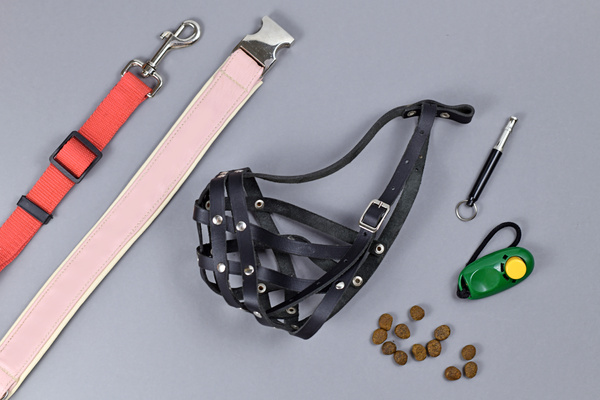 Dog training conept with tools like clicker, dog whistle, leash, collar, treats and restraining muzzle on gray background